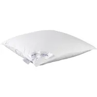 De Witte Lietaer hoofdkussen Dream 70 x 50 cm katoen wit