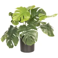 Clayre & Eef Groene Decoratie plant Monstera Deliciosa 42*42*40 cm 6PL0212