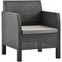 vidaXL Tuinstoel met kussen antraciet 63x65x76 cm PP rattan