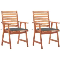 vidaXL Tuinstoelen 2 st met kussens massief acaciahout