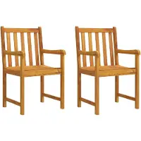 vidaXL Tuinstoelen 2 pcs Naturel Massief Acaciahout