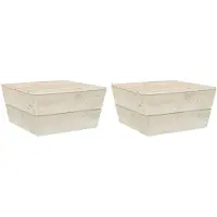 vidaXL Tuintafels 2 st 60x60x30 cm geïmpregneerd vurenhout
