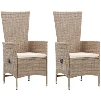 vidaXL Tuinstoelen 2 st met kussens poly rattan beige
