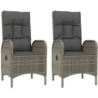 vidaXL Tuinstoelen 2 st poly rattan grijs