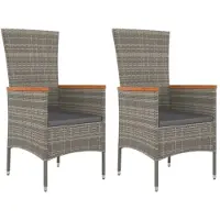 vidaXL Tuinstoelen 2 st met kussens poly rattan grijs