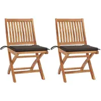 vidaXL Klapstoelen, 2 stuks, met taupekleurige kussens, gemaakt van massief teakhout