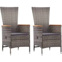 vidaXL Tuinstoelen 2 st met kussens poly rattan grijs