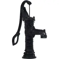 vidaXL Pompe à eau manuelle de jardin Fonte