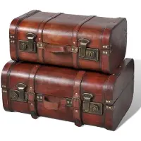 vidaXL Schatkisten 2 st vintage-stijl hout bruin