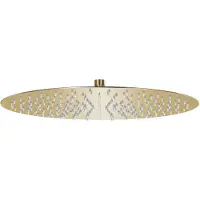 vidaXL Regendouchekop rond 40 cm roestvrij staal goudkleurig
