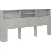 vidaXL Hoofdbordkast 220x19x101,5 cm betongrijs