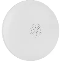 Smartwares Slimme watermelder | (85 dB, 3 jaar batterij)