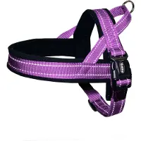 Nobby norwegian hondentuig paars - XL - buikband 75-98 cm + borstband 62 cm - breedte 25 mm
