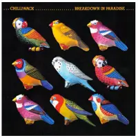 Cd Breakdown In Paradise