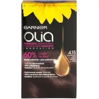 Garnier Olia 4.15 Ijs-Kastanje Bruin