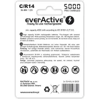 EverActive 2 Stuks - R14 C 5000mAh herlaadbaar Professional