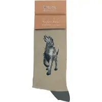 Wrendale Designs Wrendale Herensokken - Hond - 'Walkies' Labrador Men's Socks