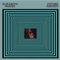 Bigwax Dis Cnt Future Perfect