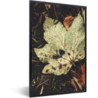 PosterMonkey Fotolijst incl. Poster - Herfstbladeren - Herfst - Seizoenen - Natuur - 80x120 cm - Posterlijst