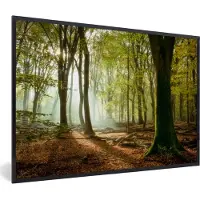PosterMonkey Fotolijst incl. Poster - Bos - Zon - Seizoenen - Landschap - 30x20 cm - Posterlijst