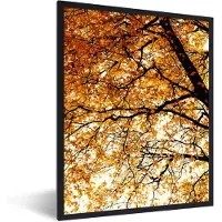 PosterMonkey Fotolijst incl. Poster - Boom - Herfstbladeren - Seizoenen - Landelijk - 60x80 cm - Posterlijst