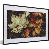 PosterMonkey Fotolijst incl. Poster - Herfstbladeren - Herfst - Seizoenen - Natuur - 60x40 cm - Posterlijst