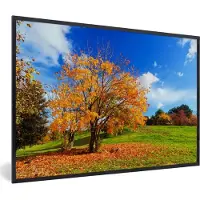 PosterMonkey Fotolijst incl. Poster - Boom - Bladeren - Herfst - Seizoenen - 90x60 cm - Posterlijst