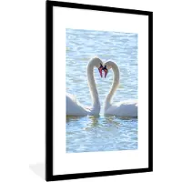 PosterMonkey Poster - Fotolijst - Vogels - Zwaan - Water - Liefde - 60x90 cm - Poster vogels - Poster dieren - Kamer decoratie - Poster kader - Foto in lijst - Posters - Frame