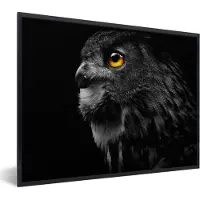 PosterMonkey - Poster - Fotolijst - Uil - Vogel - Zwart - 40x30 cm - Poster vogels - Poster uil - Foto lijst - Poster met frame - Woonkamer