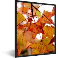 PosterMonkey Fotolijst incl. Poster - Herfsttakken - Bladeren - Seizoenen - Landelijk - 30x40 cm - Posterlijst