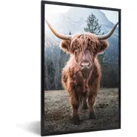 PosterMonkey Fotolijst - Poster - Schotse hooglander - Koe - Dieren - Berg - Posterlijst - Foto in lijst - 80x120 cm - Poster met lijst - Kamer decoratie - Poster dieren - Poster Schotse hooglander - Foto lijst