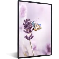 PosterMonkey - Poster - Fotolijst - Lavendel - Vlinder - Bloemen - Botanisch - Posterlijst - 60x90 cm - Poster natuur - Foto met lijst - Poster lavendel - Poster frame