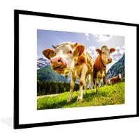 PosterMonkey - Poster - Fotolijst - Koeien - Gebergte - Alpen - Natuur - Dieren - 80x60 cm - Posters - Foto met lijst - Poster met kader - Poster koe - Posterlijst