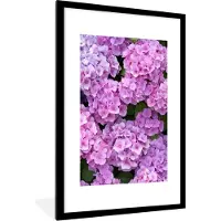 PosterMonkey - Poster - Fotolijst - Hortensia - Bloemen - Roze - Planten - Natuur - 60x90 cm - Poster bloemen - Foto met lijst - Decoratie woonkamer - Poster in lijst