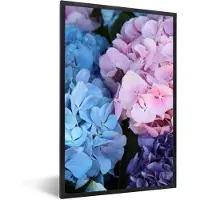 PosterMonkey Poster - Hortensia - Bloemen - Plant - Natuur - Fotolijst - Foto in lijst - 20x30 cm - Poster natuur - Poster met lijst - Muurdecoratie - Frame poster - Posterlijst