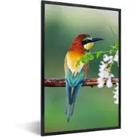 PosterMonkey Fotolijst incl. Poster - Vogel - Bijeneter - Bloemen - 60x90 cm - Posterlijst