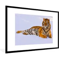 PosterMonkey Fotolijst incl. Poster - Tijger - Sneeuw - Winter - Dieren - 120x80 cm - Posterlijst