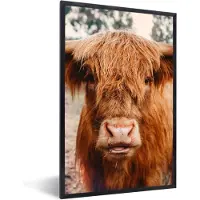 PosterMonkey - Fotolijst - Schotse hooglander - Dieren - Koe - Poster - Poster met kader - Foto in lijst - 20x30 cm - Poster dieren - Poster Schotse hooglander - Wanddecoratie - Posterlijst