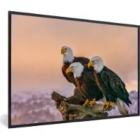 PosterMonkey Poster - Fotolijst - Vogels - Dieren - Arend - Roofvogel - Takken - 60x40 cm - Poster vogels - Frame poster - Poster in lijst - Poster natuur - Kamerdecoratie - Posters