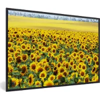 PosterMonkey Fotolijst incl. Poster - Zonnebloem - Bloemen - Natuur - 90x60 cm - Posterlijst