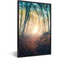 PosterMonkey Fotolijst incl. Poster - Bos - Mist - Zon - Herfst - 60x90 cm - Posterlijst