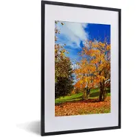 PosterMonkey Fotolijst incl. Poster - Boom - Bladeren - Herfst - Seizoenen - 40x60 cm - Posterlijst