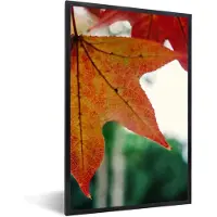 PosterMonkey Fotolijst incl. Poster - Herfst - Landelijk - Bladeren - Seizoenen - Landelijk - 60x90 cm - Posterlijst