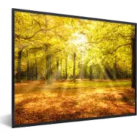 PosterMonkey Fotolijst incl. Poster - Boom - Natuur - Zon - Landschap - Bos - 40x30 cm - Posterlijst