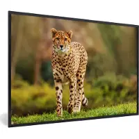 PosterMonkey Fotolijst incl. Poster - Wilde dieren - Gras - Luipaard - Natuur - 90x60 cm - Posterlijst