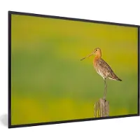 PosterMonkey - Poster - Fotolijst - Vogel - Dieren - Paal - Groen - 30x20 cm - Poster vogels - Poster met kader - Foto in lijst - Poster dieren - Posterlijst - Kader