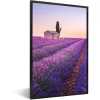 PosterMonkey Poster - Fotolijst - Lavendel - Bloemen - Boom - Landschap - Kader - Poster met lijst - 80x120 cm - Posterlijst - Poster natuur - Frame poster - Poster lavendel - Wanddecoratie