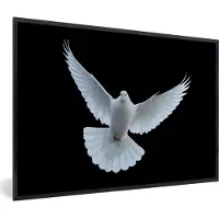PosterMonkey Poster - Fotolijst - Duif - Wit - Vogel - 30x20 cm - Poster met frame - Poster dieren - Foto lijst - Decoratie woonkamer - Poster vogels - Kader - Posterlijst