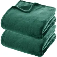 Atmosphera fleece dekens/fleeceplaids - 2x - smaragd groen- 180x230 cm - polyester- Molton Bankdeken