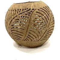 Varios Coconut leaf